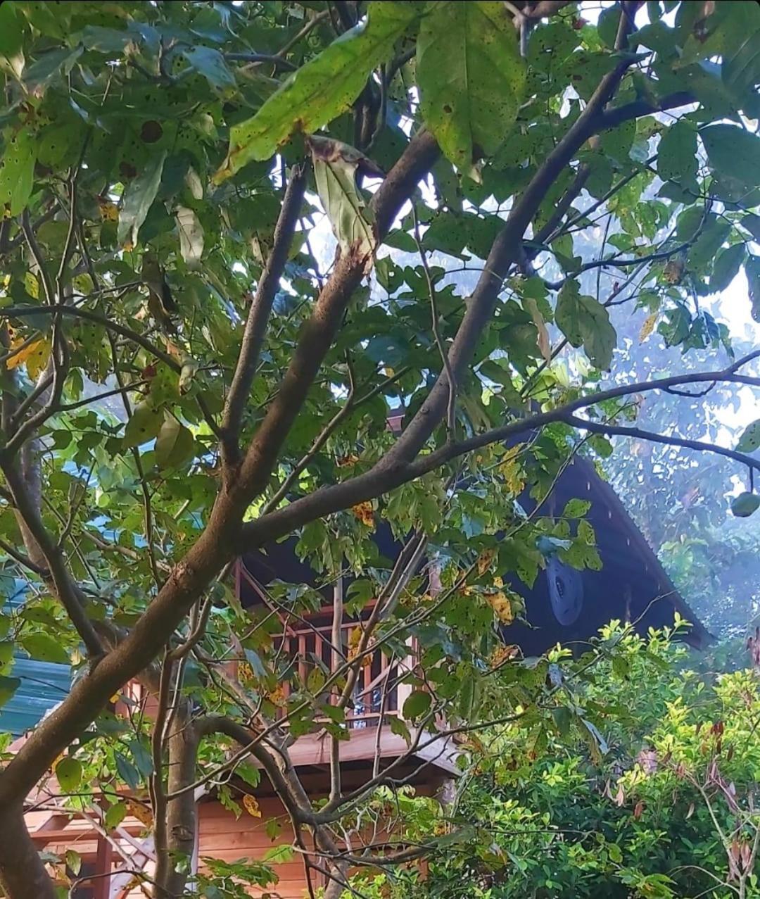 Warahana Riverside Cottage Entire Room Udawalawe Exterior foto